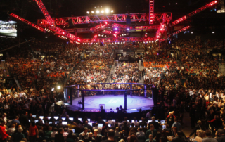 UFC 187 NA ARENA MGM