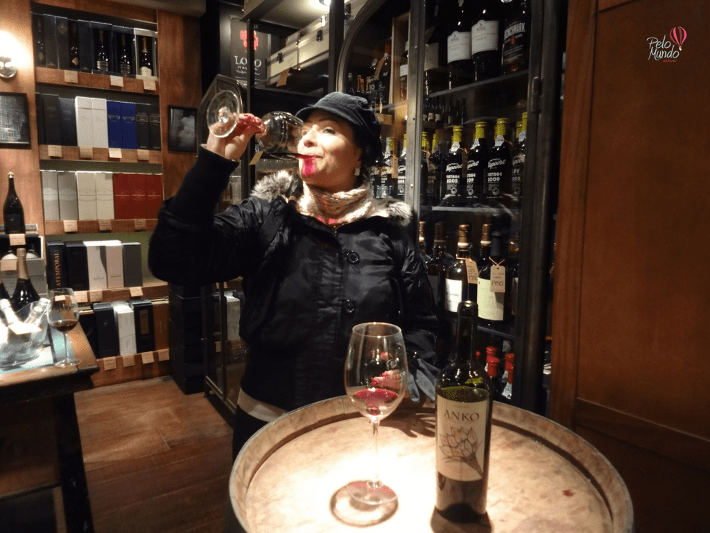 O QUE FAZER EM BUENOS AIRES: tour de VINHOS ARGENTINOS