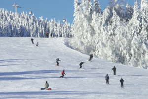 Ski no interior da Suécia