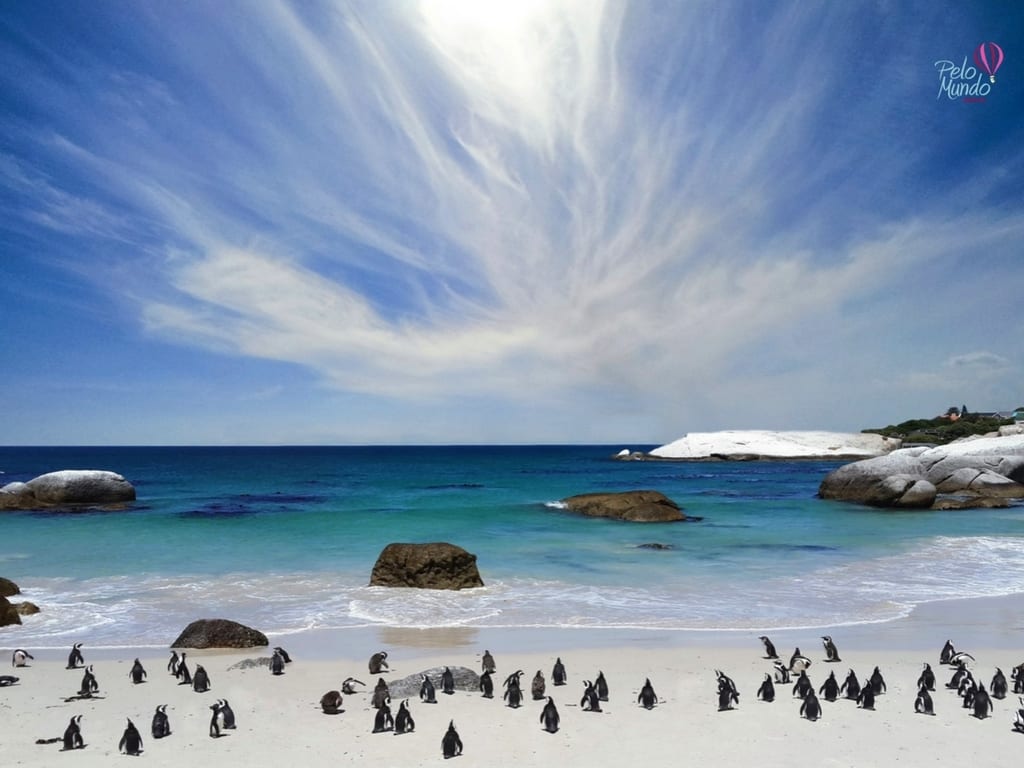 Boulders Beach Africa do Sul - imagem da praia cheia de pinguins