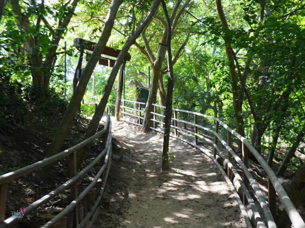 Fortaleza Ceará 